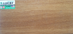 Sàn gỗ Lucsy 2894