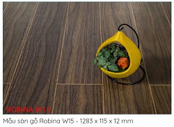 Sàn gỗ Robina W15